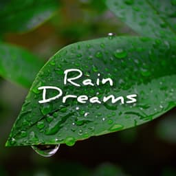 Rain Dreams - Sounds Of Nature