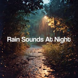 Rain Sounds At Night - Meditation Rain Sounds