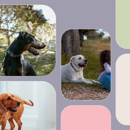 Relaxing Background for Sweet Pups - Dog Music Library