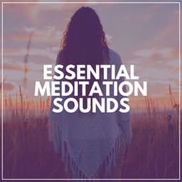 Essential Meditation Sounds - Pineal Gland Activator