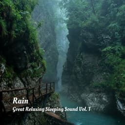 Rain: Great Relaxing Sleeping Sound Vol. 1 - Binaural Beats MT