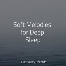 Soft Melodies for Deep Sleep - Relaxation Music Guru