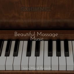 Beautiful Massage Music - Naturaleza Sonidos