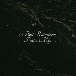 50 Best Rainstorm Patter Mix - Nature's Symphony