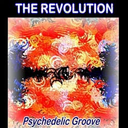 Psychedelic Groove - The Revolution