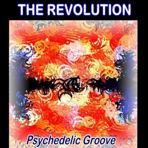 Psychedelic Groove - The Revolution