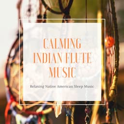 Calming Indian Flute Music - Relaxing Native American Sleep Music - Native American Indian Meditation