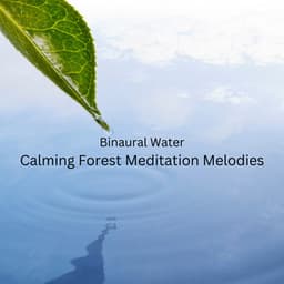 Binaural Water: Calming Forest Meditation Melodies - Binaural Shapers