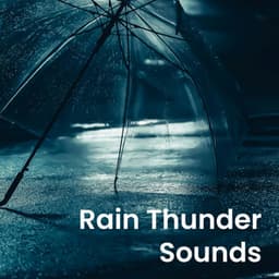Rain Thunder Sounds - Deep Sleep Nature Sounds
