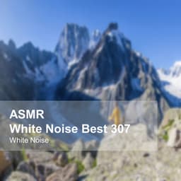 White Noise ASMR Best 307 - White Noise