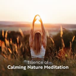 Essence of Calming Nature Meditation - Zen Soothing Sounds of Nature