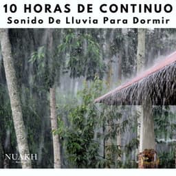 10 Horas De Sonido De Lluvia Para Dormir - White Noise Radiance