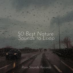 50 Best Nature Sounds to Loop - Natural Sounds