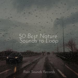 50 Best Nature Sounds to Loop - Natural Sounds