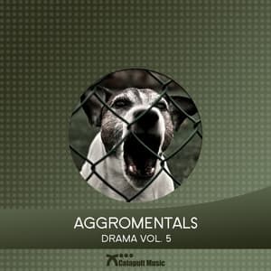 Aggromentals - Martin Haene