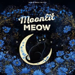 Moonlit Meow - Calming Music For Pets