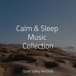Calm & Sleep Music Collection - Yoga Rain