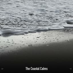 !!!!" The Coastal Calms "!!!! - Ocean Waves