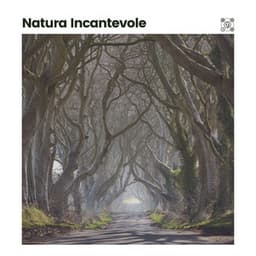 Natura Incantevole - Suoni Naturali