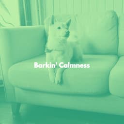 Barkin' Calmness - Musica per la Colazione