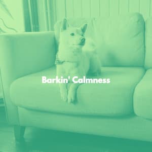Barkin' Calmness - Musica per la Colazione