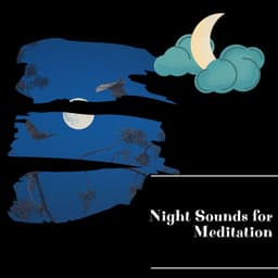 Night Sounds for Meditation - Night Nature Sounds