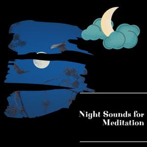 Night Sounds for Meditation - Night Nature Sounds