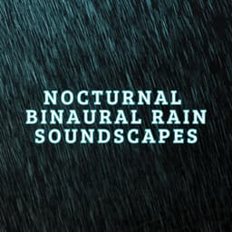 Nocturnal Binaural Rain Soundscapes - Dreamsound