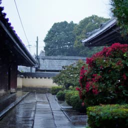 Rainy Temple Walk - Asian Lofi