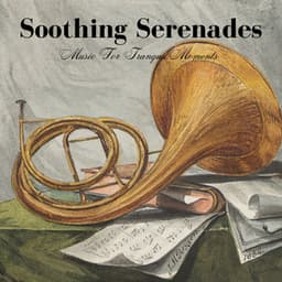 Soothing Serenades: Music For Tranquil Moments - Soothing Music Collection