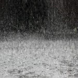 Rain Sounds, Vol 2 - Sounds Of Life