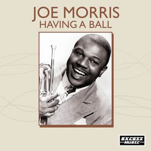 Having A Ball - Joe Morris