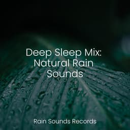 Deep Sleep Mix: Natural Rain Sounds - Music For Absolute Sleep