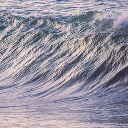 1 Coastal Night: Soothing Waves - Seascapers