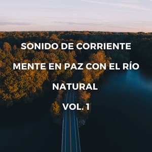 Sonido De Corriente: Mente En Paz Con El Río Natural Vol. 1 - Grabaciones de la naturaleza