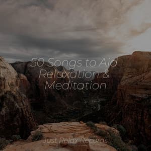 50 Songs to Aid Relaxation & Meditation - Soothing Sounds