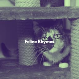 Feline Rhymes - Cat Music Zone