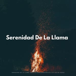 Serenidad De La Llama: Meditaciones Binaurales A La Luz De Fuego - Energía orbital de 432 Hz