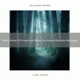 White Noise Of Ocean And Water For Instant Absolute Recharge - Sleep Dimension