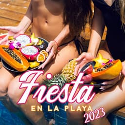 Fiesta en la Playa 2023: Chillout al Atardecer desde Ibiza - Academia de Música Chillout