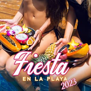 Fiesta en la Playa 2023: Chillout al Atardecer desde Ibiza - Academia de Música Chillout