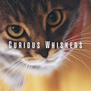 Curious Whiskers: Binaural Exploration for Cats - Binaural Explorer