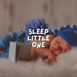 Sleep Little One - Canciones Infantiles