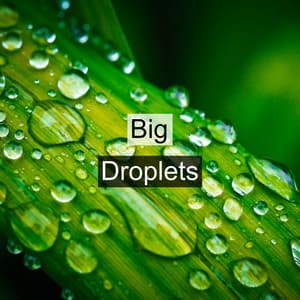 Big Droplets - Rain Sounds Factory STHLM