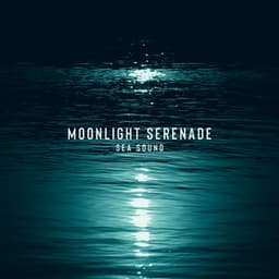 Moonlight Serenade : Peaceful Midnight - Soothing Baby Music Ensemble