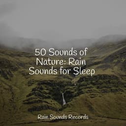 50 Sounds of Nature: Rain Sounds for Sleep - Spa Relaxation