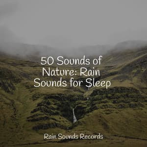 50 Sounds of Nature: Rain Sounds for Sleep - Spa Relaxation