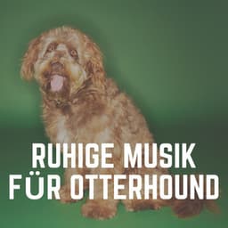 Ruhige Musik für Otterhound - Hundemusik