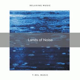2021 Lands of Noise - The Noise Project
