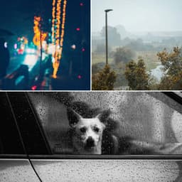 Backdrop for Spring Storms - Hypnotic Trumpet, Electric Piano, Alto Sax and Soprano Sax - Luxury Lounge Cafe Allstars